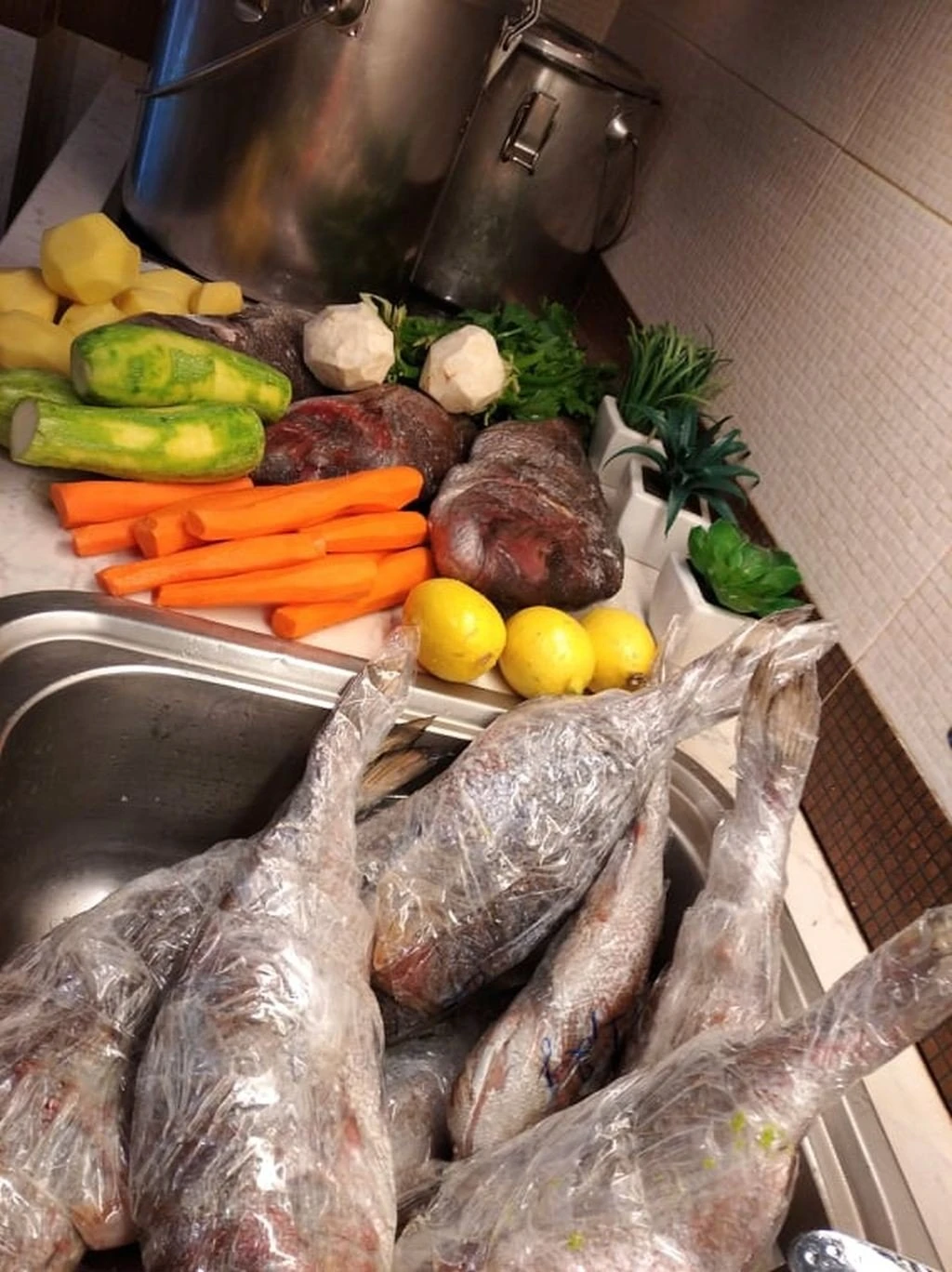 Τρόφιμα για τα γεύματα της Εθελοντικής Διακονίας Αστέγων για τα Χριστούγεννα