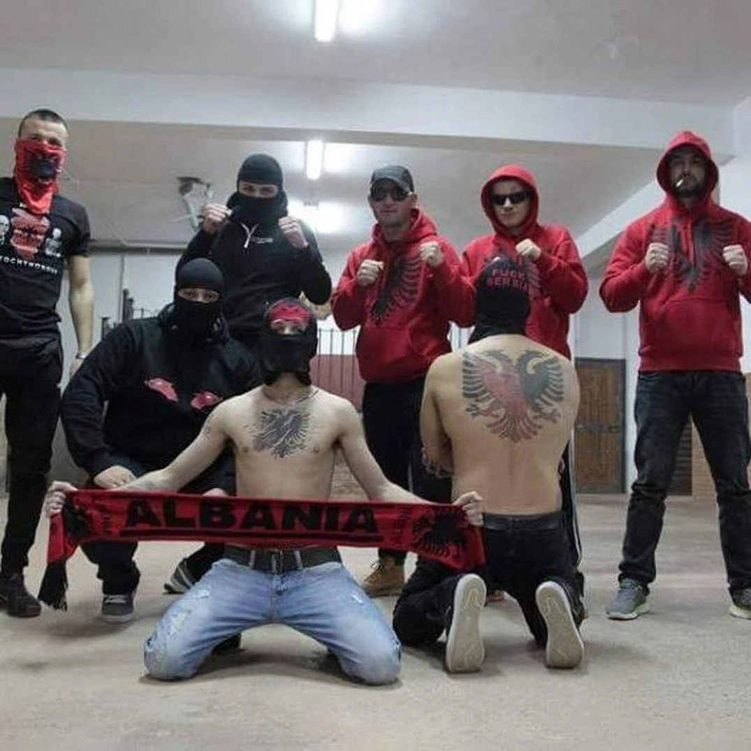 3399308.jpg 3399308.jpg