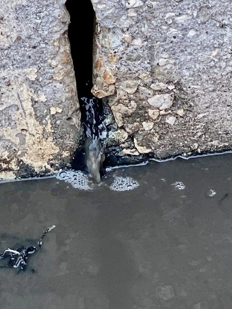 ripansi1.jpg ripansi1.jpg