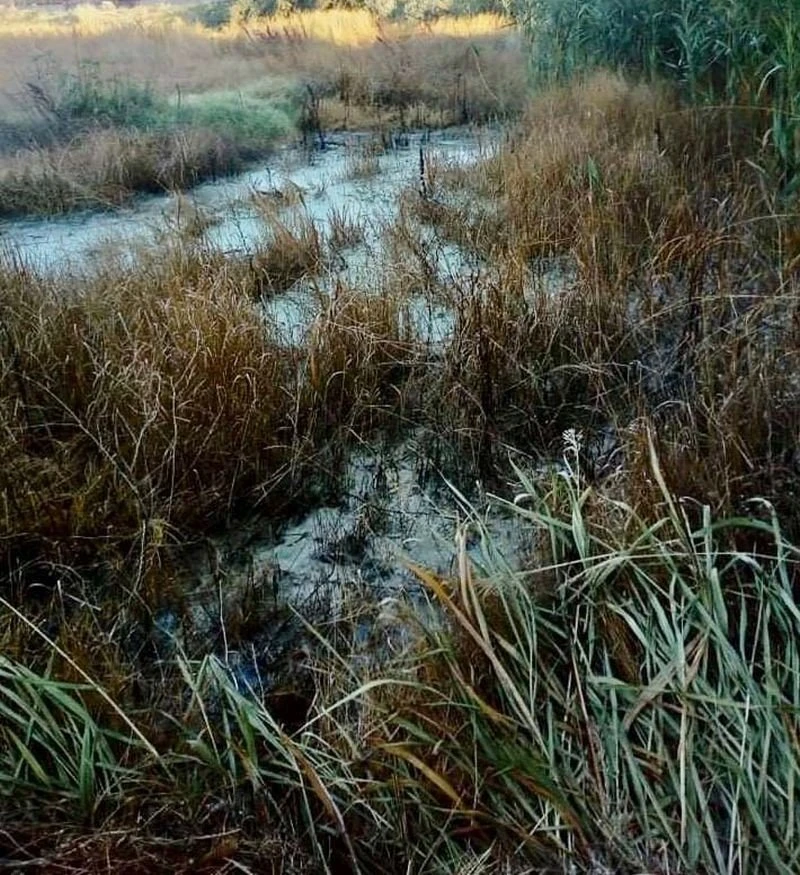 ripansi4.jpg ripansi4.jpg