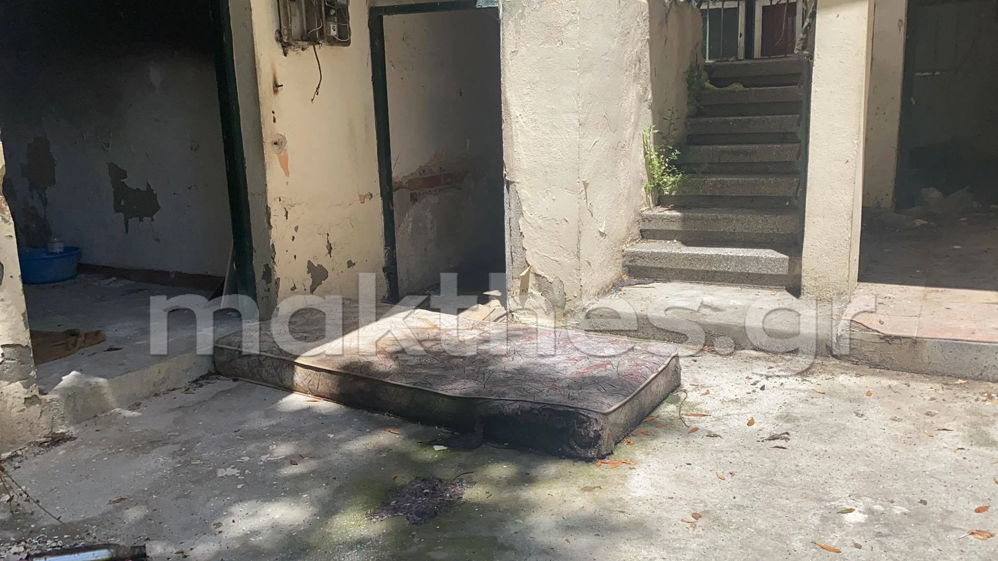 stroma1.jpg stroma1.jpg