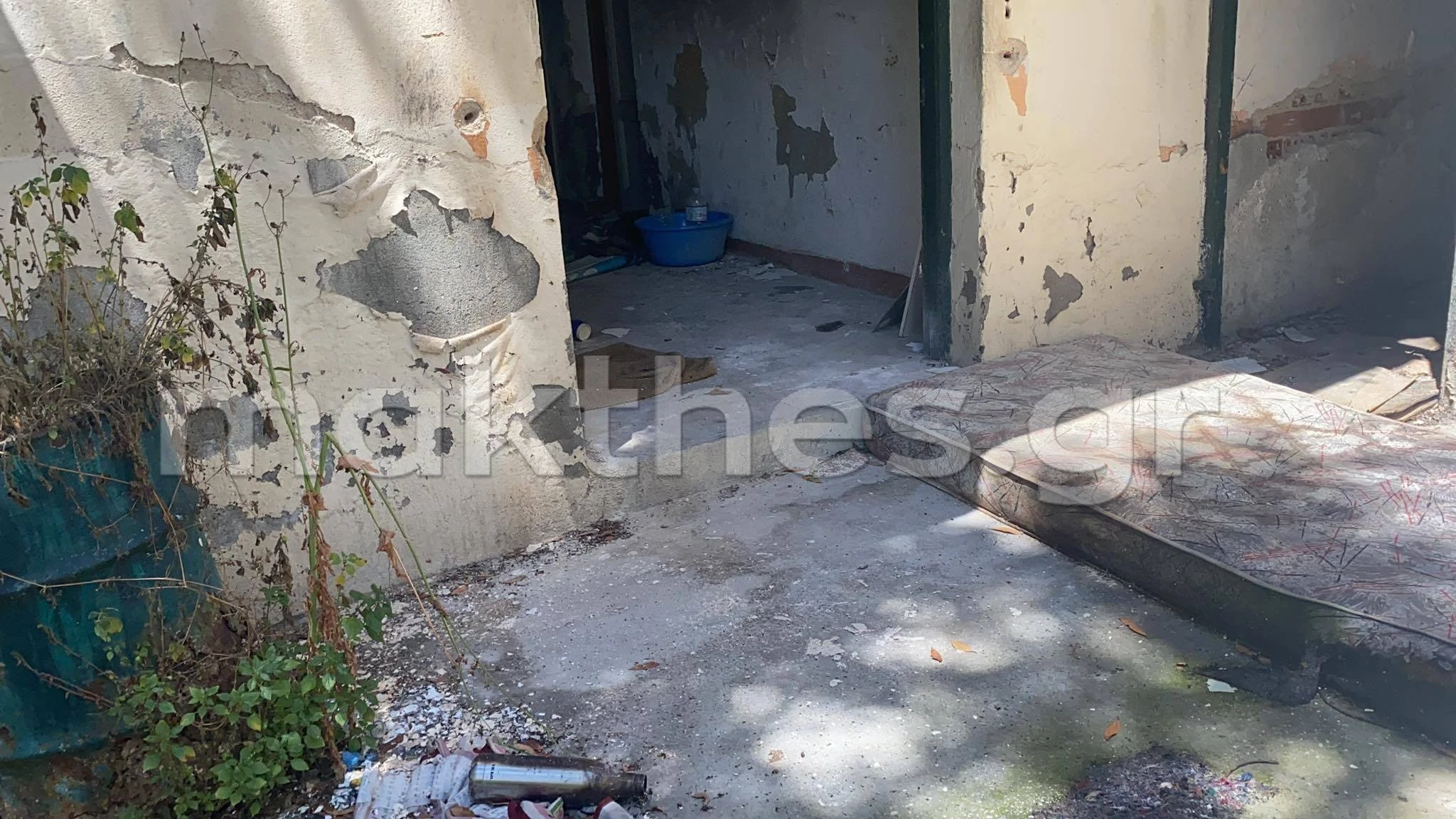 stroma3.jpg stroma3.jpg