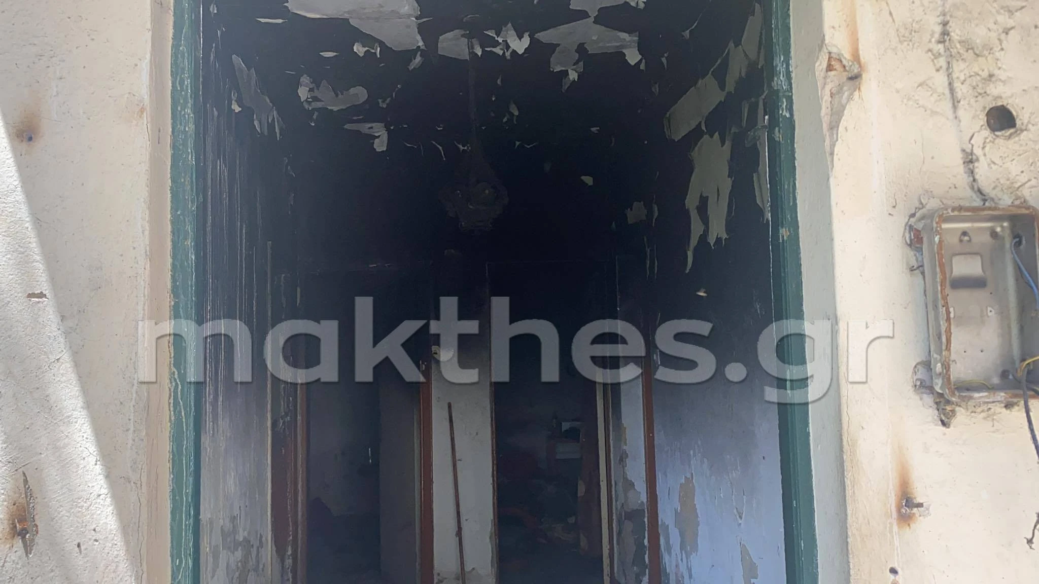 stroma4.jpg stroma4.jpg