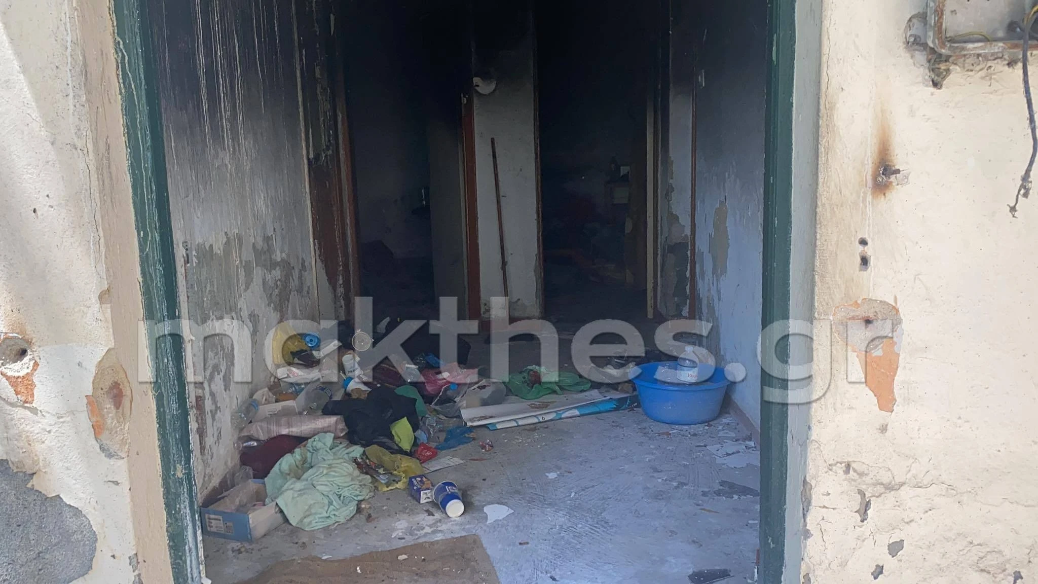 stroma5.jpg stroma5.jpg