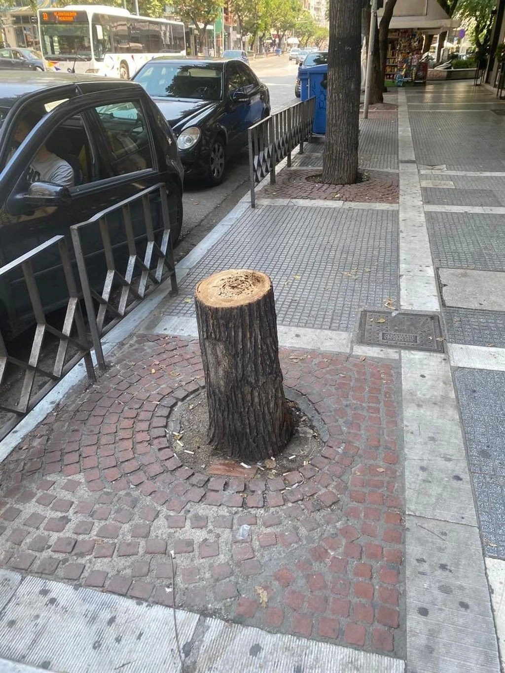 Κομμένο δέντρο στην Τσιμισκή