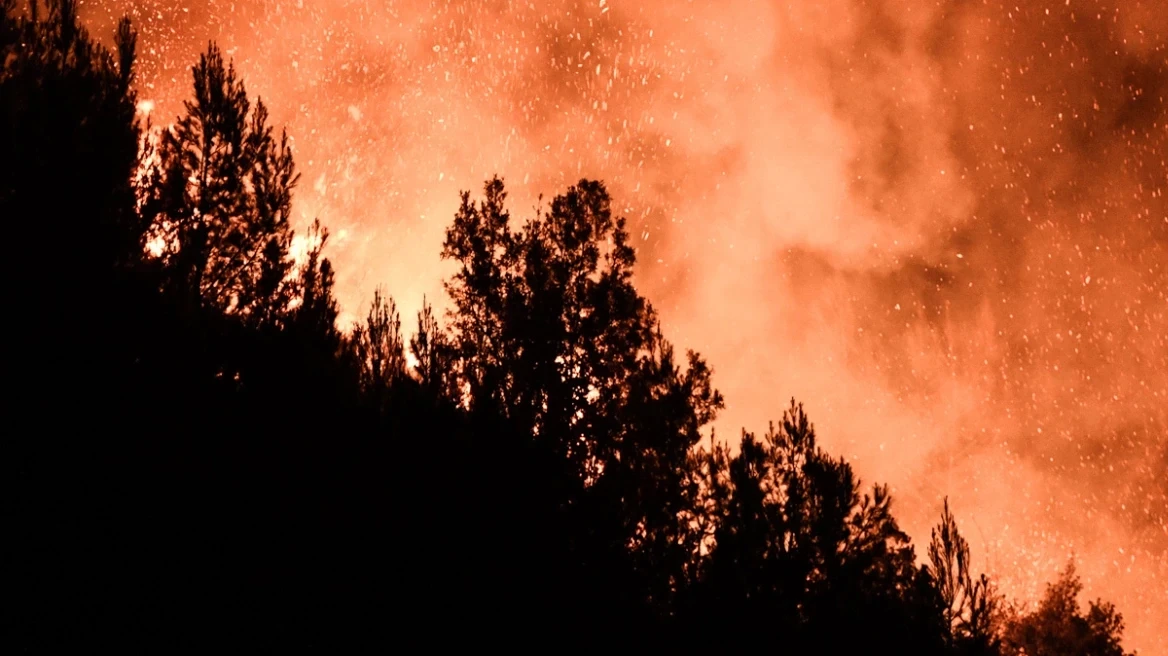 Εικόνα από τις καταστροφικές πυρκαγιές του Ιουλίου του 2022