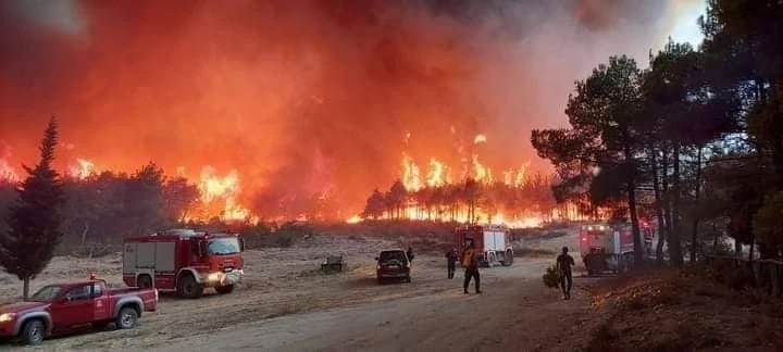 Φωτογραφία από τη φονική πυρκαγιά στη Δαδιά