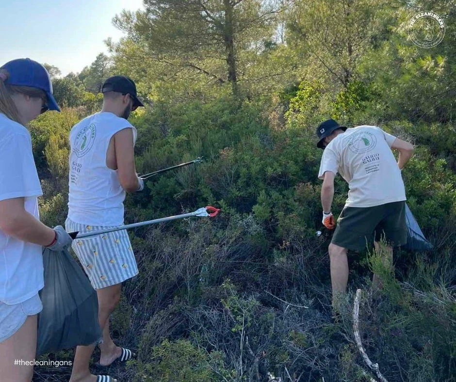 cleaningans.jpg cleaningans.jpg
