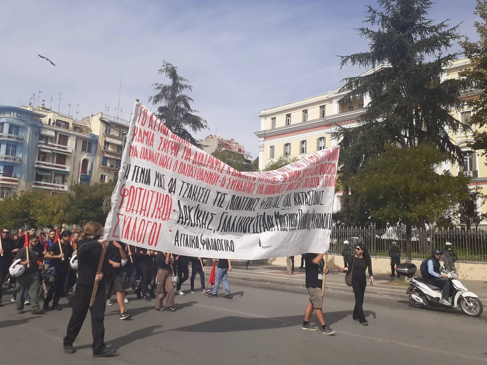 310683367-790219075566606-3054876865521920275-n.jpg 310683367-790219075566606-3054876865521920275-n.jpg