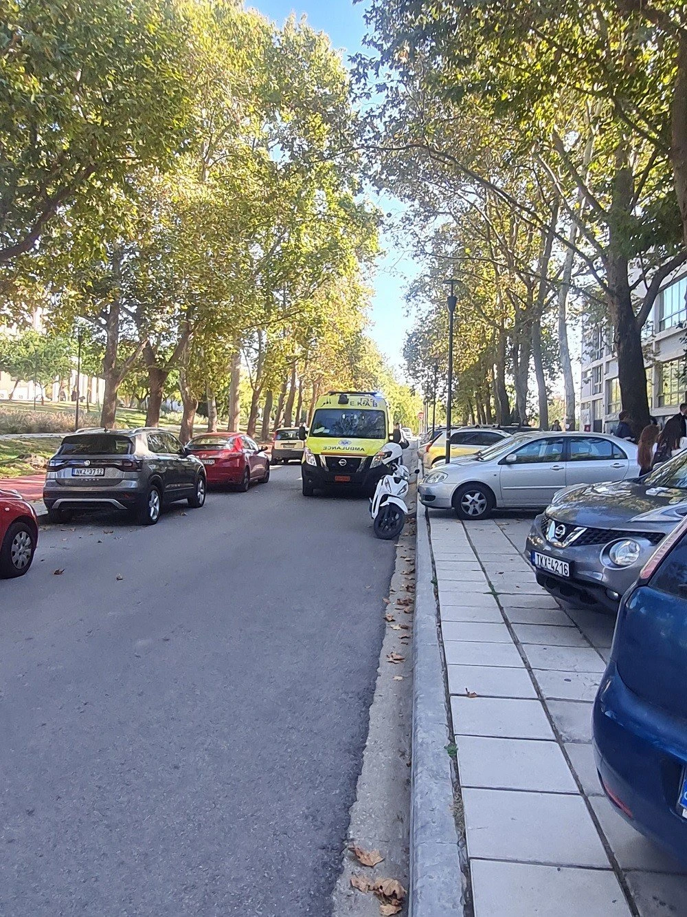 ekav-Zv8kL.jpg ekav-Zv8kL.jpg