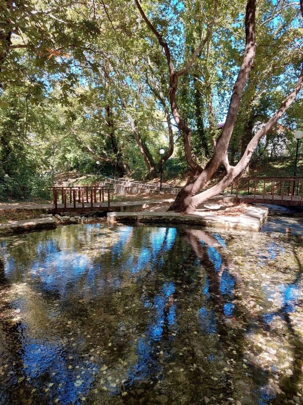 platania.jpg platania.jpg