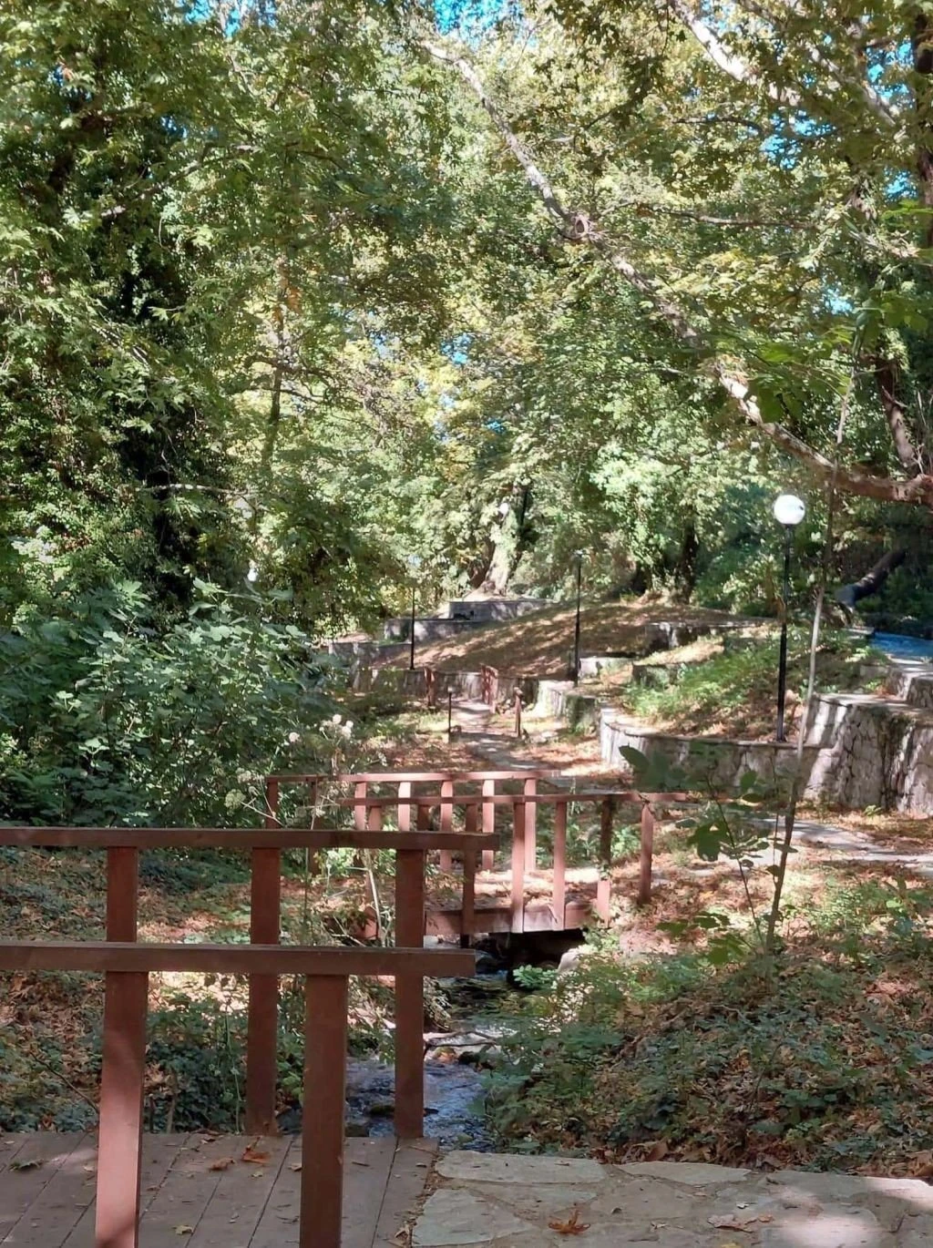 platania3.jpg platania3.jpg