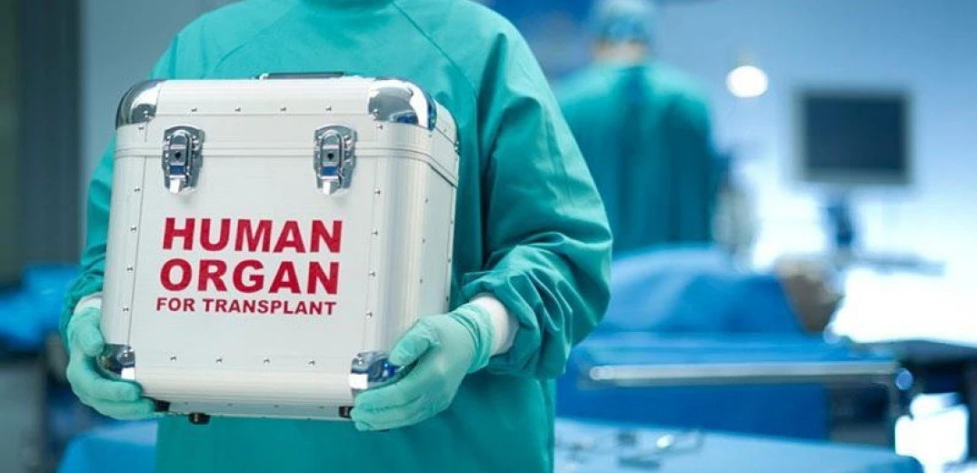 metamosxeysi.jpeg?v=0