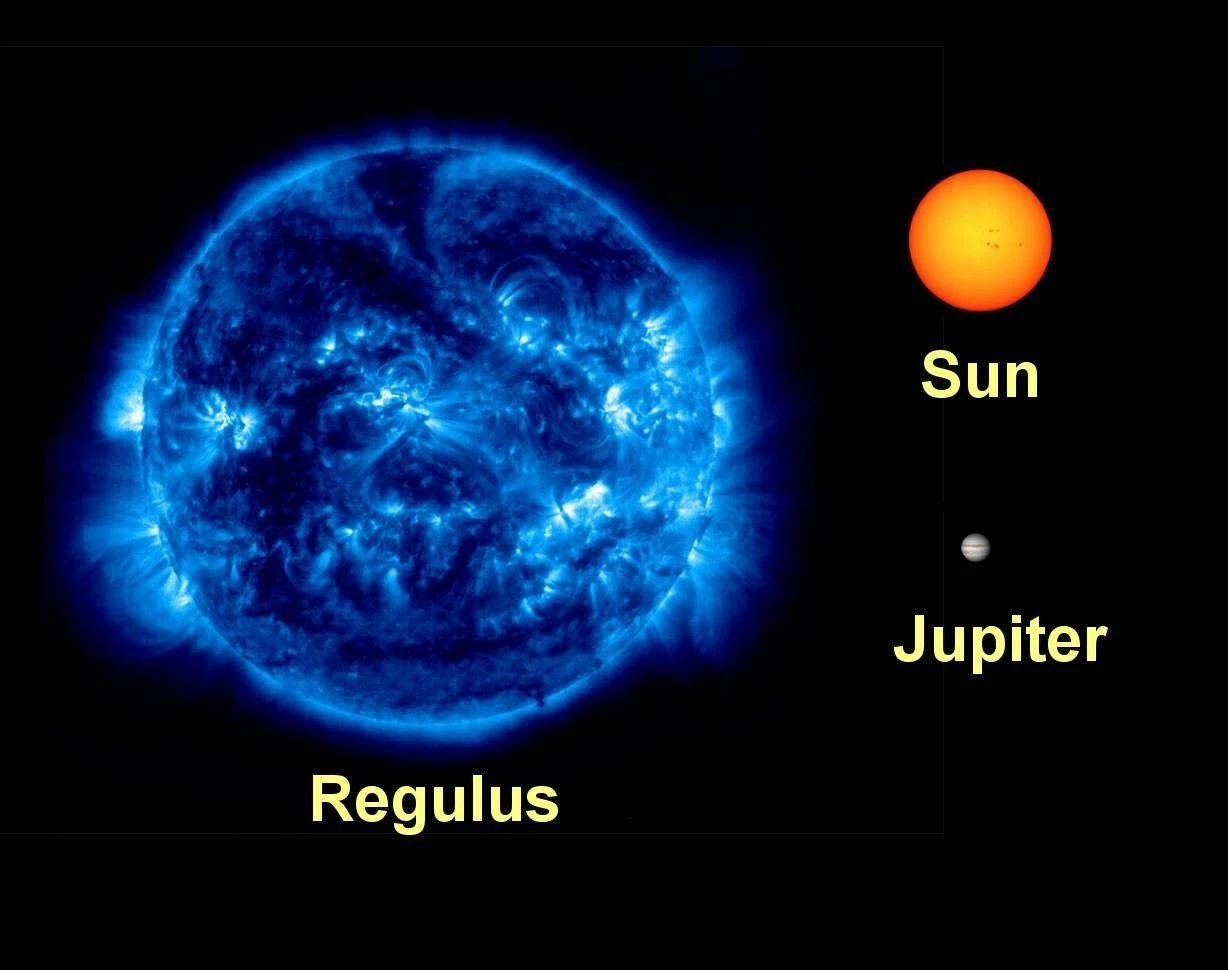 regulus.jpeg regulus.jpeg
