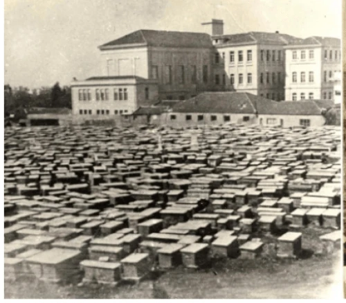 To εβραϊκό νεκροταφείο στη θέση που βρίσκεται σήμερα το ΑΠΘ