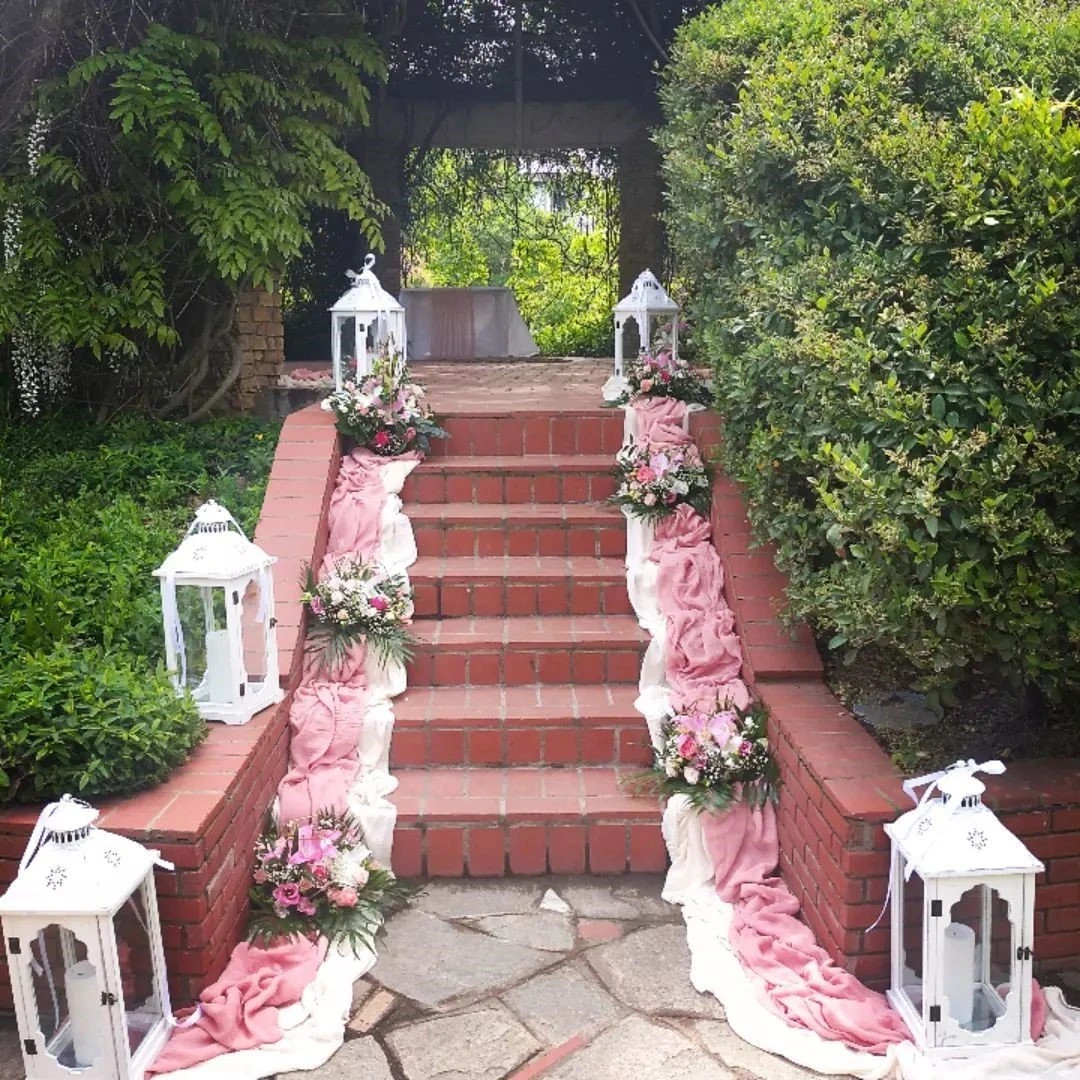 kentia14.jpg kentia14.jpg