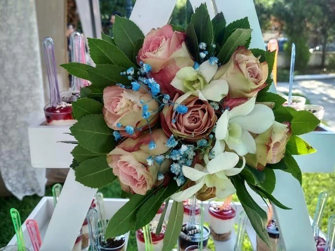 kentia19.jpg kentia19.jpg