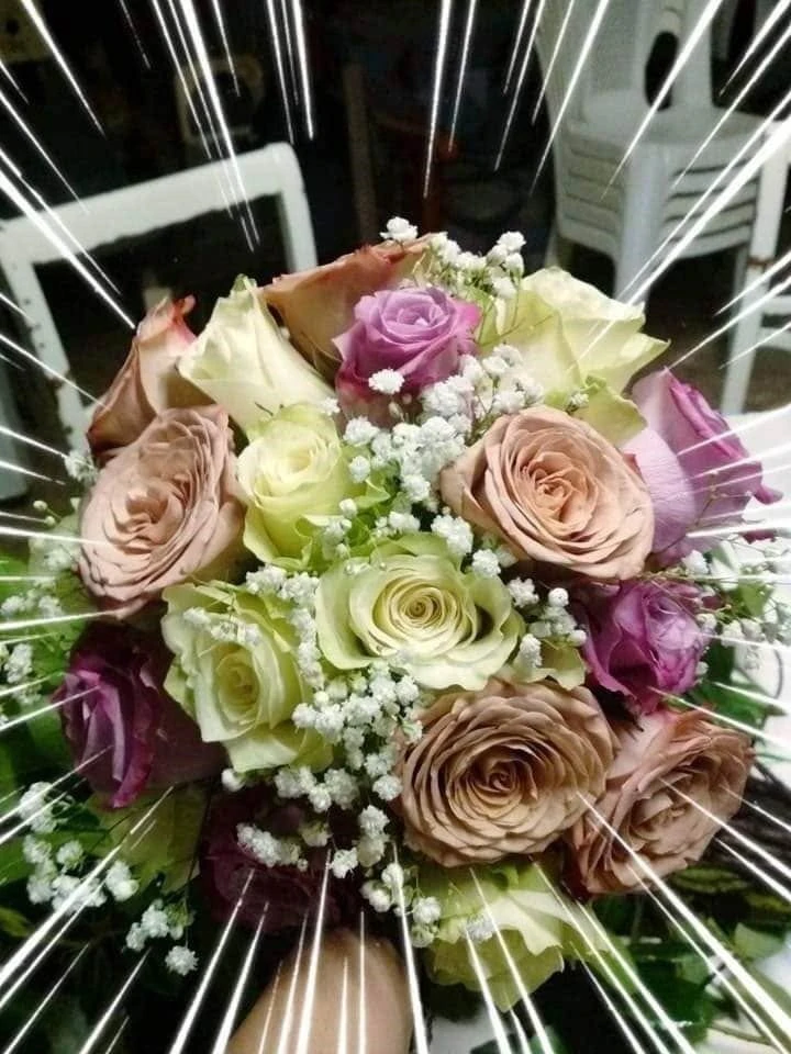 kentia7.jpg kentia7.jpg