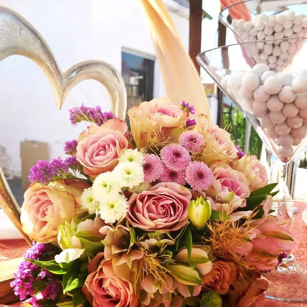 kentia8.jpg kentia8.jpg