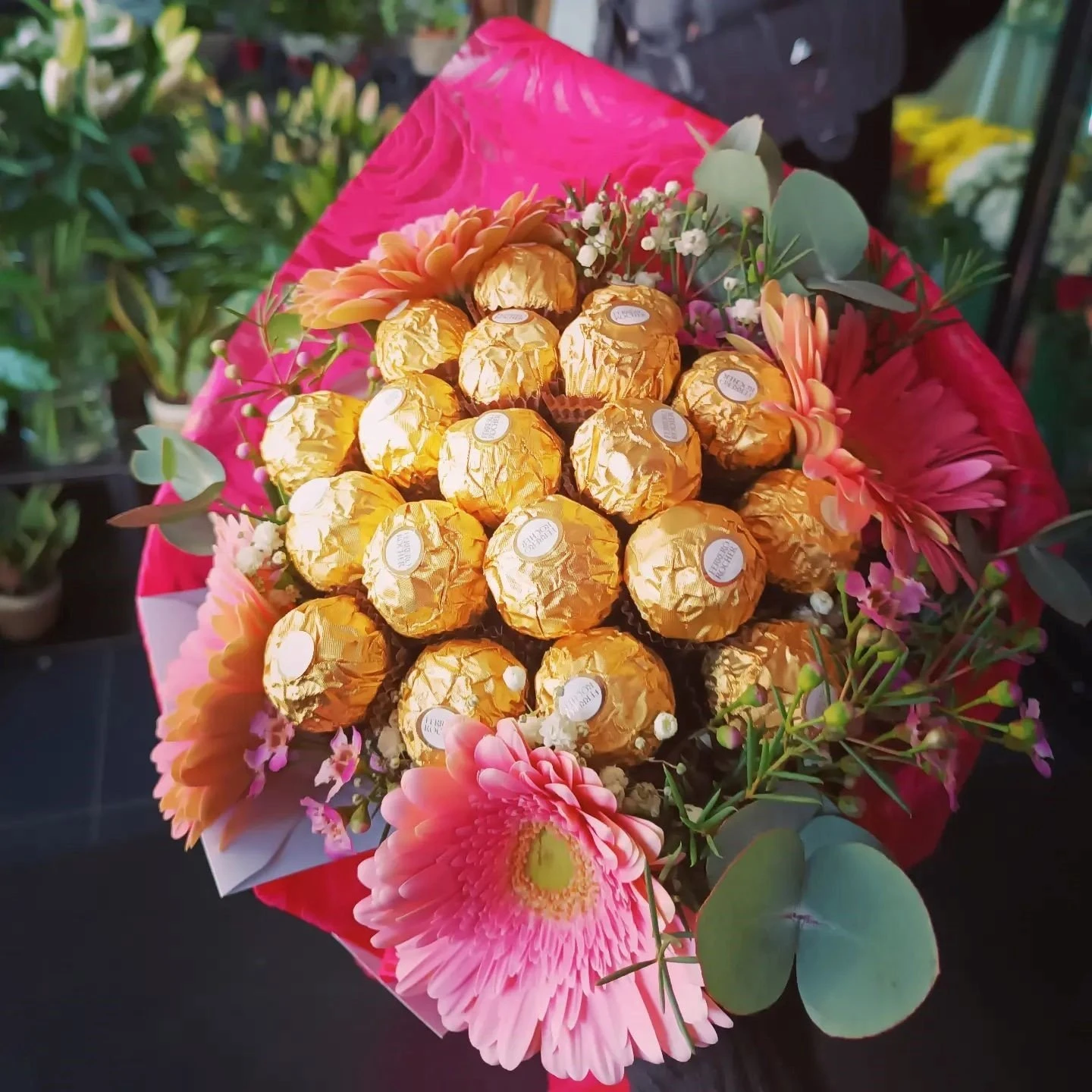 kentia9.jpg kentia9.jpg