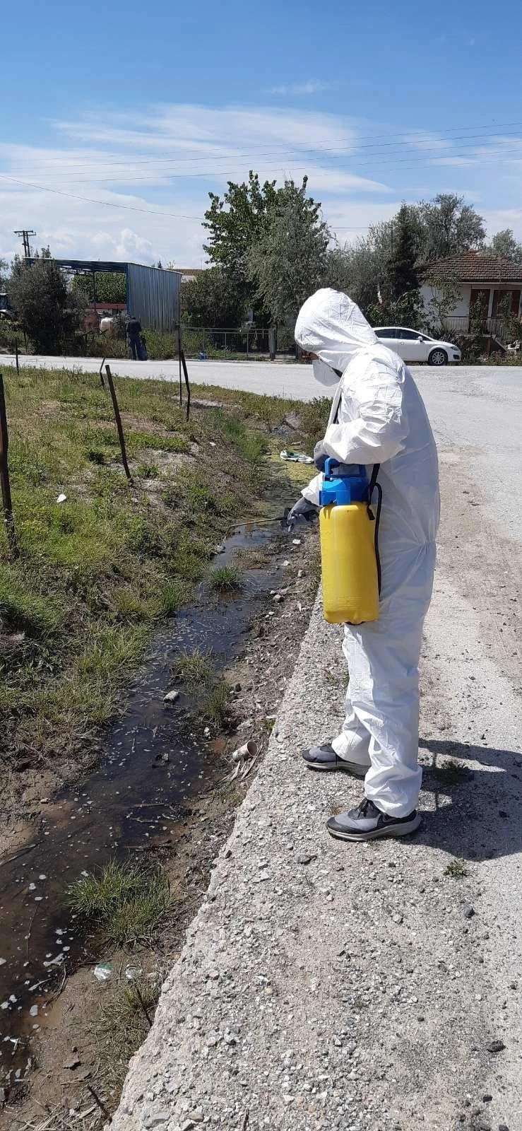 343002422-260725439753944-3639284744018317432-n.jpg?v=0