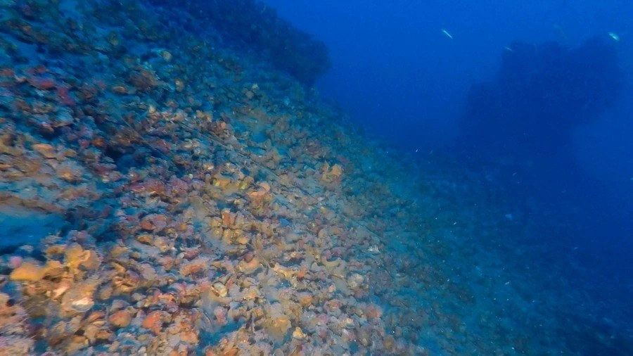 ydra9-antitorpiliko.jpg ydra9-antitorpiliko.jpg