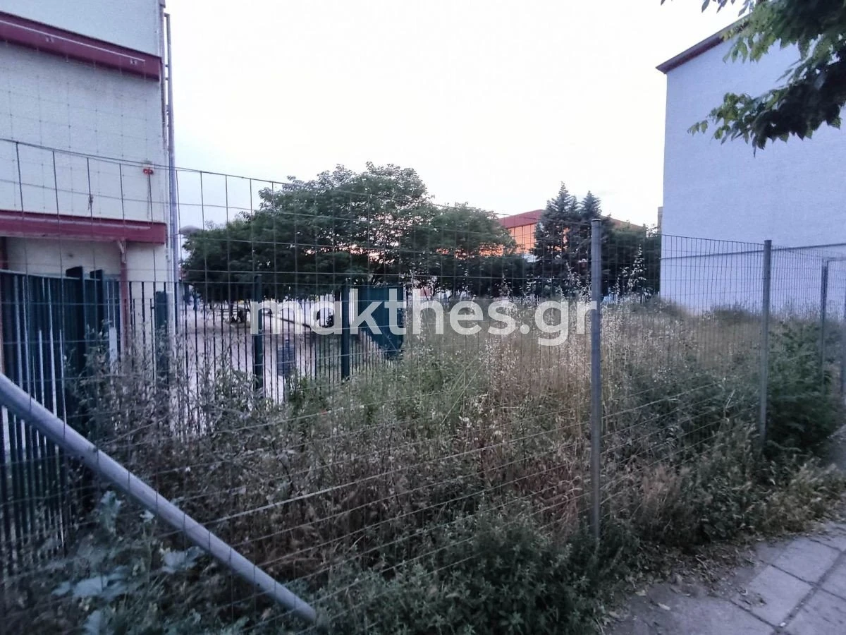 30o-gymnasio-thessalonikis-oxia-fidi-giannitson5.jpg 30o-gymnasio-thessalonikis-oxia-fidi-giannitson5.jpg