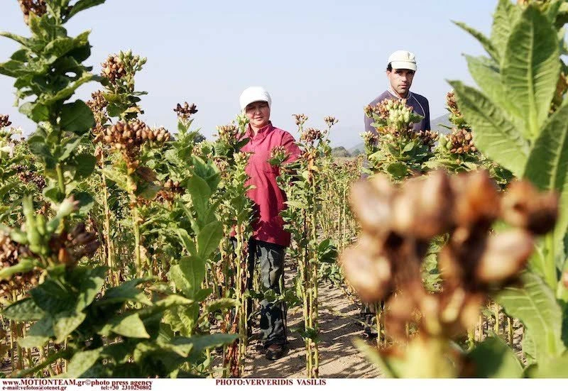 kapna-xorafi-eurokinissi-2023.jpg?v=0