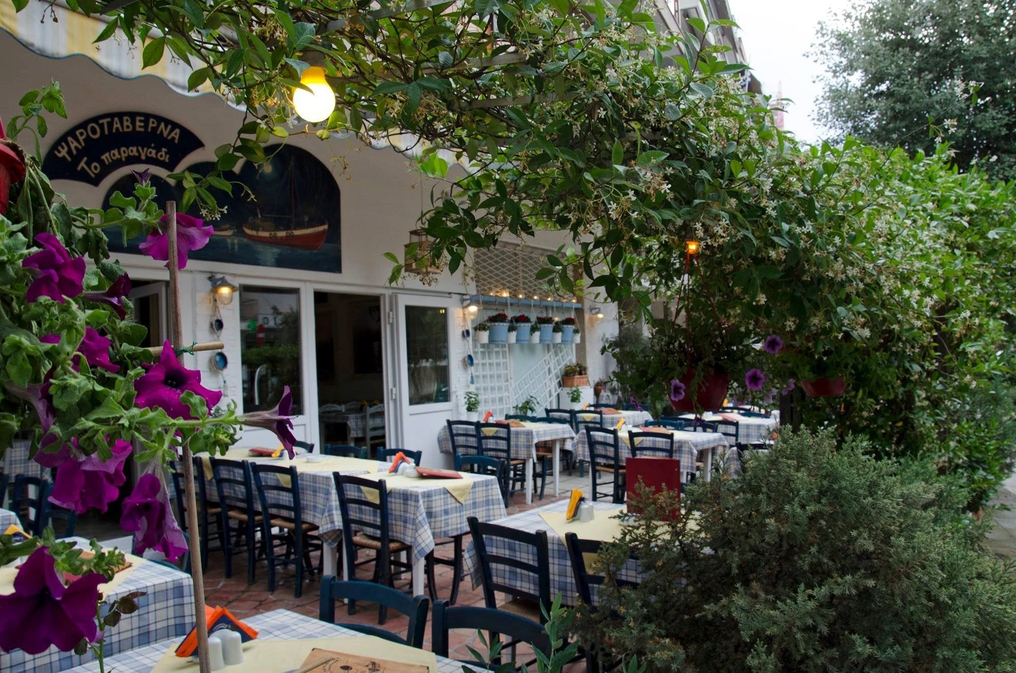 to-paraghadi1.jpg to-paraghadi1.jpg