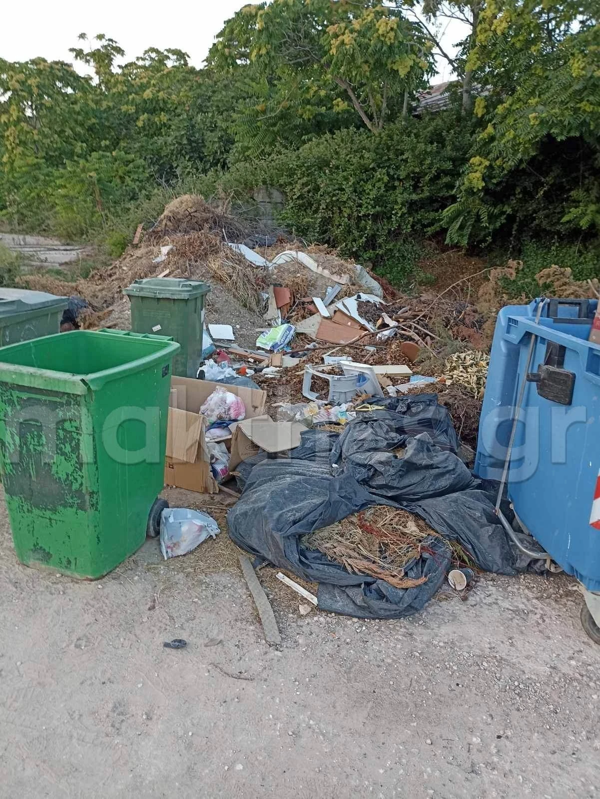 xalkidiki-skoupidia3.jpg xalkidiki-skoupidia3.jpg