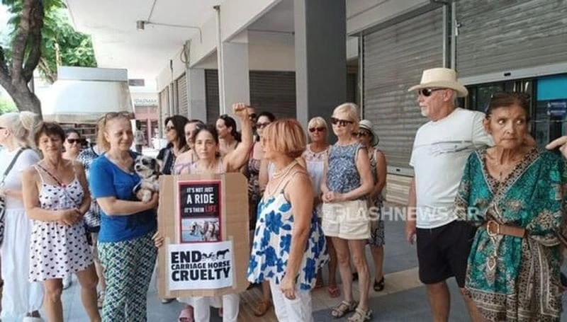 xania-diamartyria-aloga.jpg xania-diamartyria-aloga.jpg