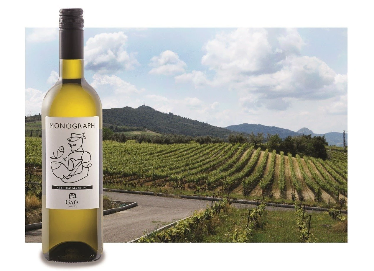 gaia-wines2.jpg gaia-wines2.jpg