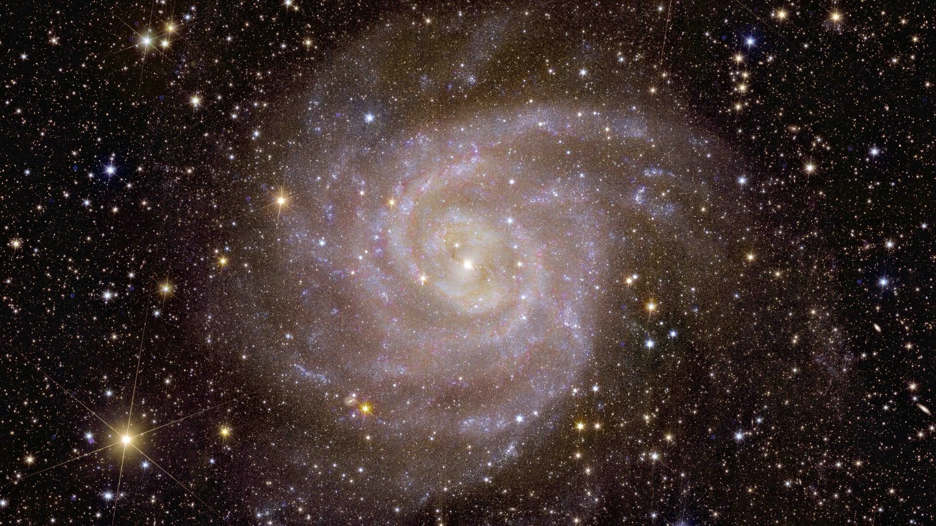 euclid-s-view-of-spiral-galaxy-ic-342-pillars.jpg euclid-s-view-of-spiral-galaxy-ic-342-pillars.jpg