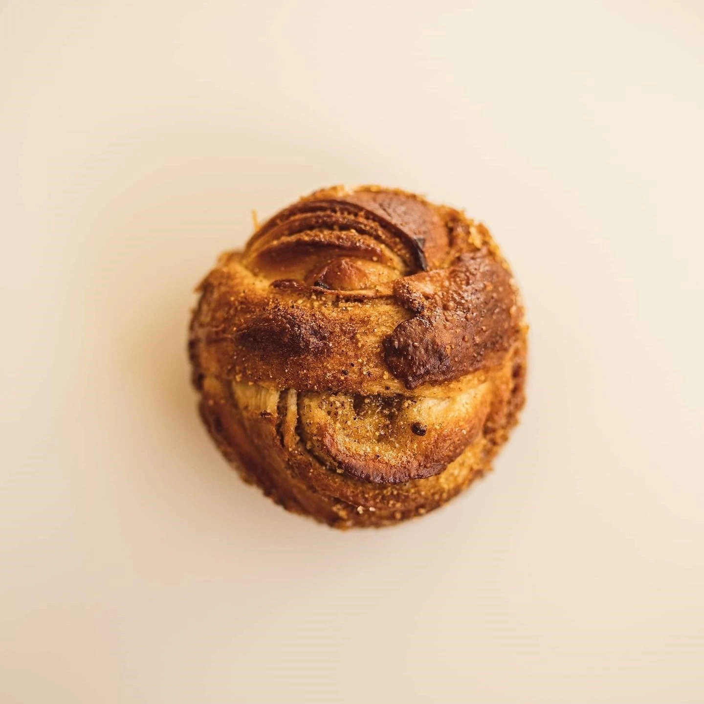 forest-pastry4.jpg forest-pastry4.jpg