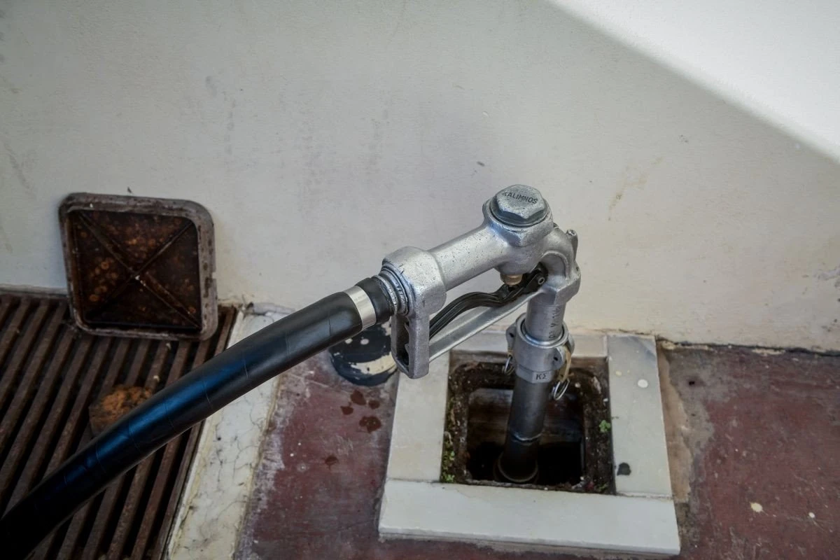 petrelaio-thermansis-epidoma-thermansi-antlia.jpg?v=0