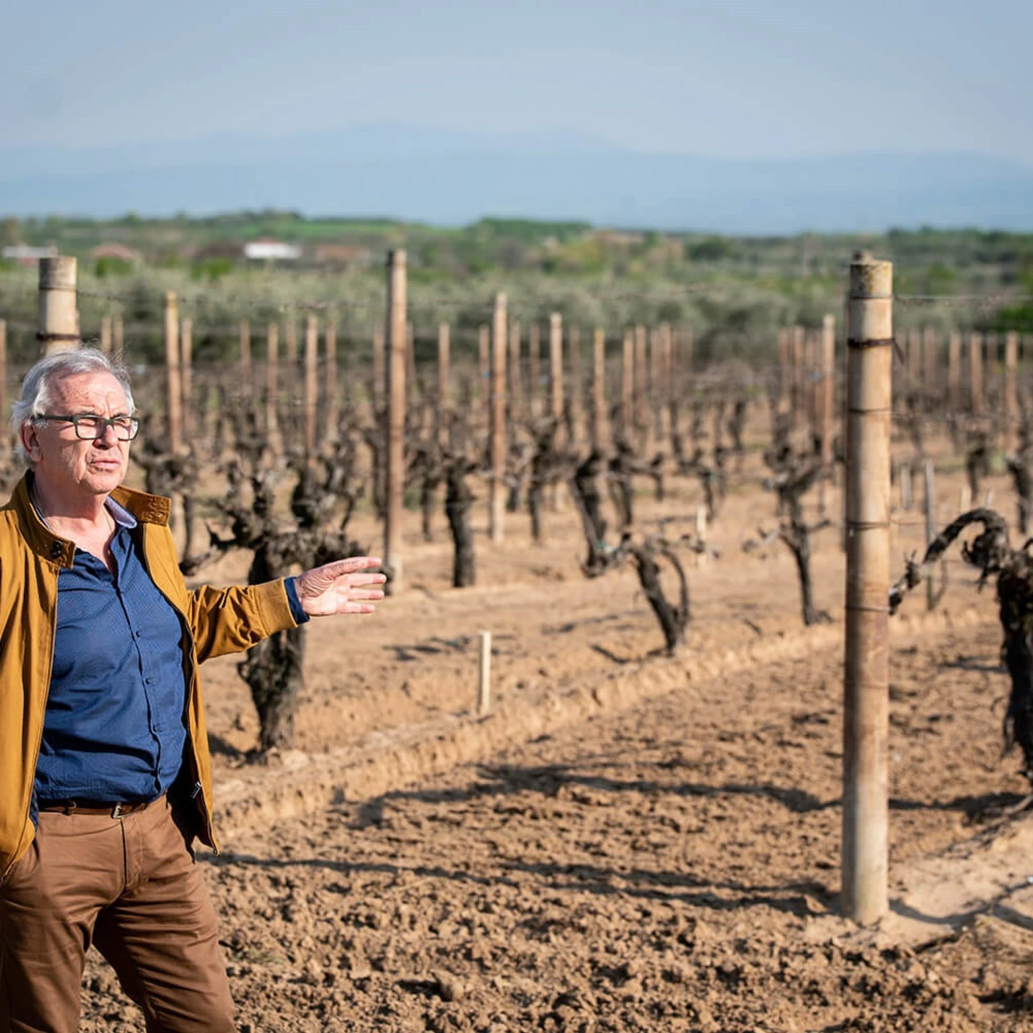 ktima-t-apostoli4.jpg ktima-t-apostoli4.jpg