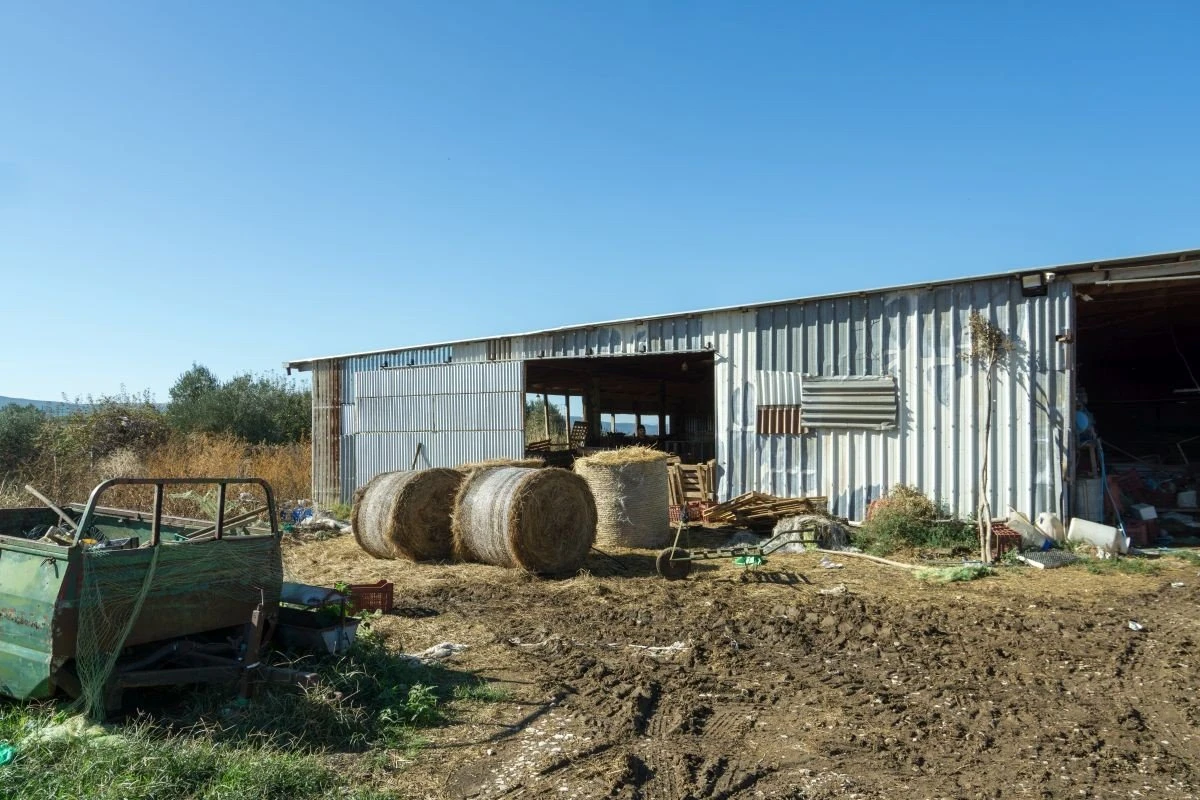 agrotiki-ktinotrofiki-monada-indoi-agrotes-thessaloniki.jpg agrotiki-ktinotrofiki-monada-indoi-agrotes-thessaloniki.jpg
