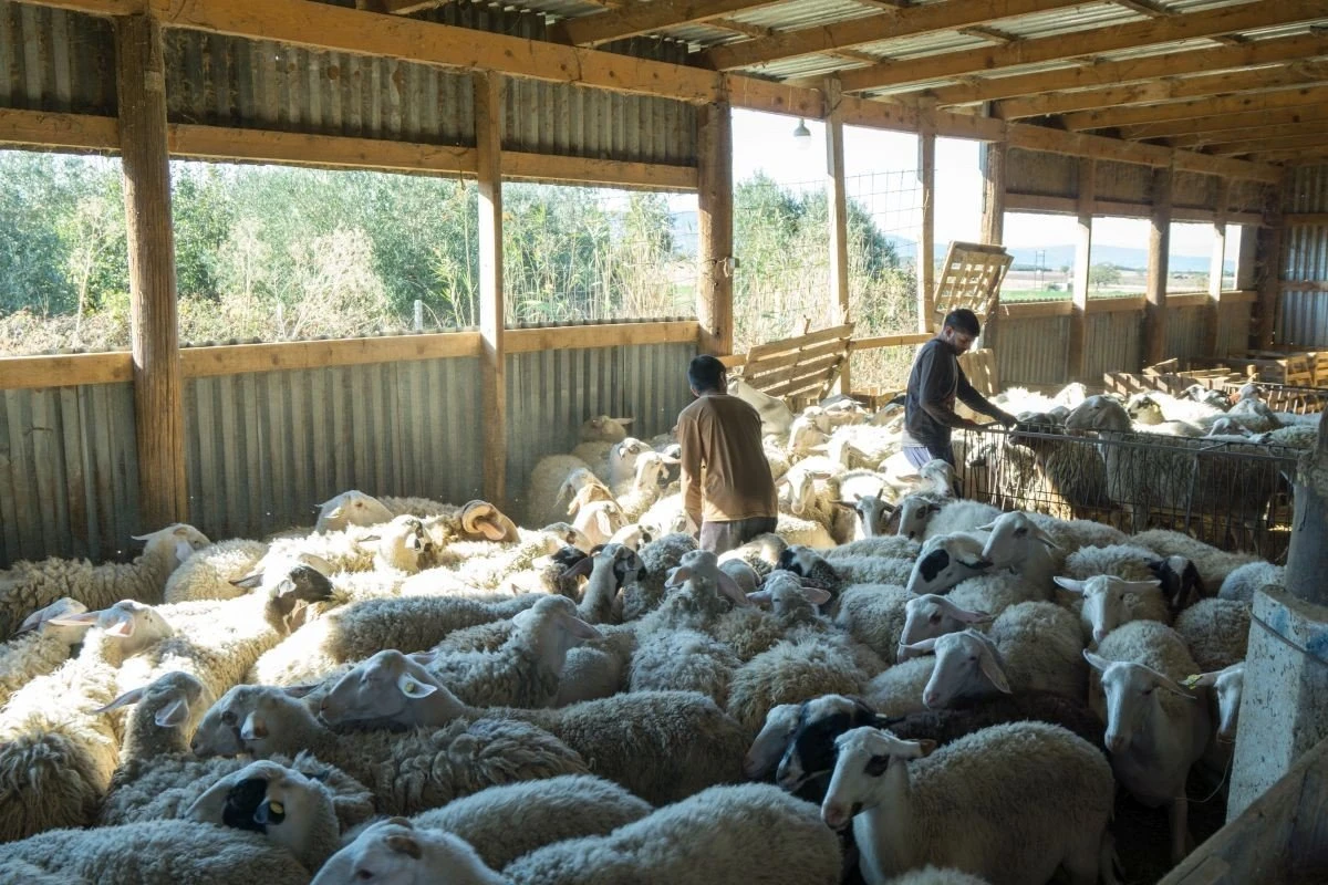 indoi-agrotes-thessaloniki.jpg indoi-agrotes-thessaloniki.jpg