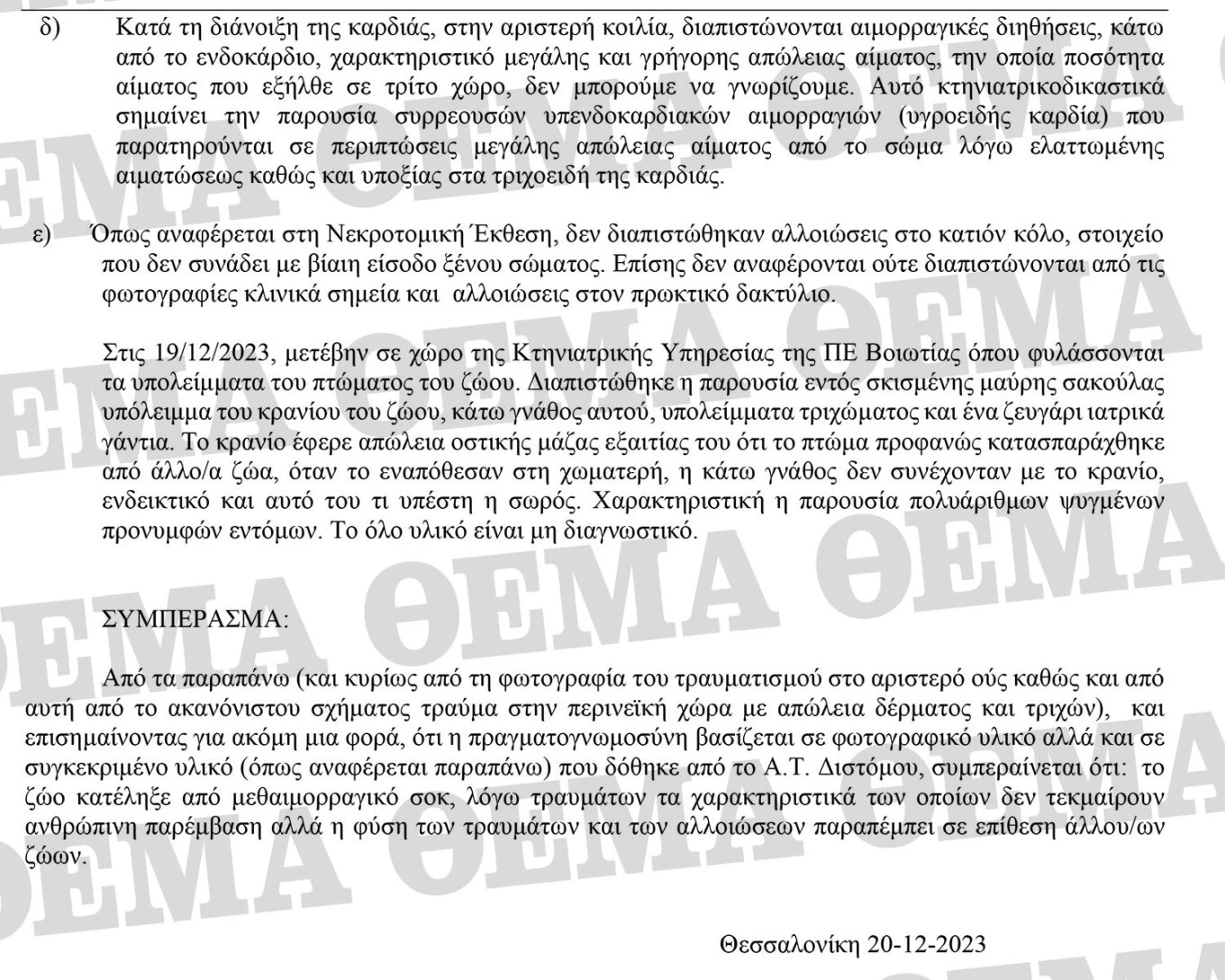 ktiniatriki-oliver-4.jpg ktiniatriki-oliver-4.jpg