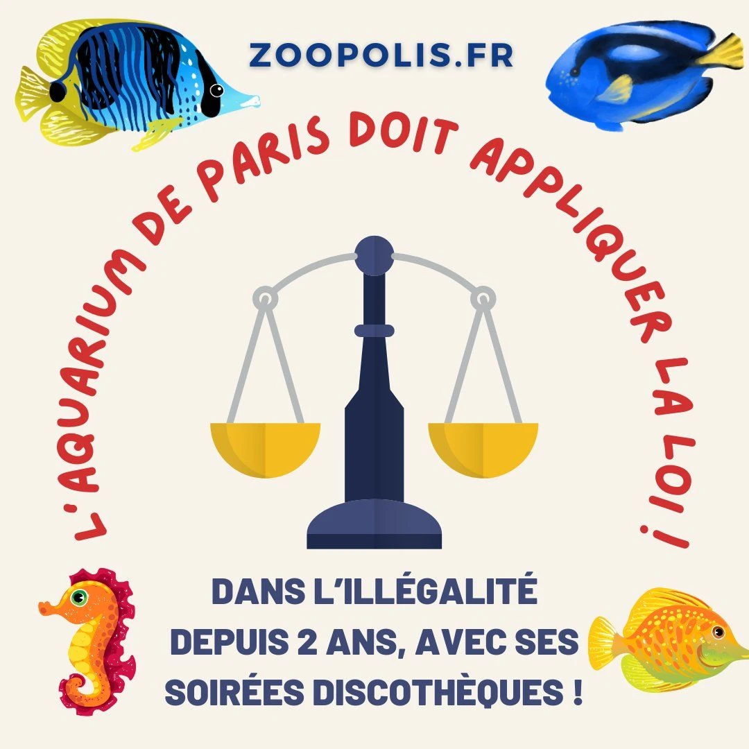 Πηγή: https://twitter.com/ParisZoopolis/status/1740006382697373951/photo/1