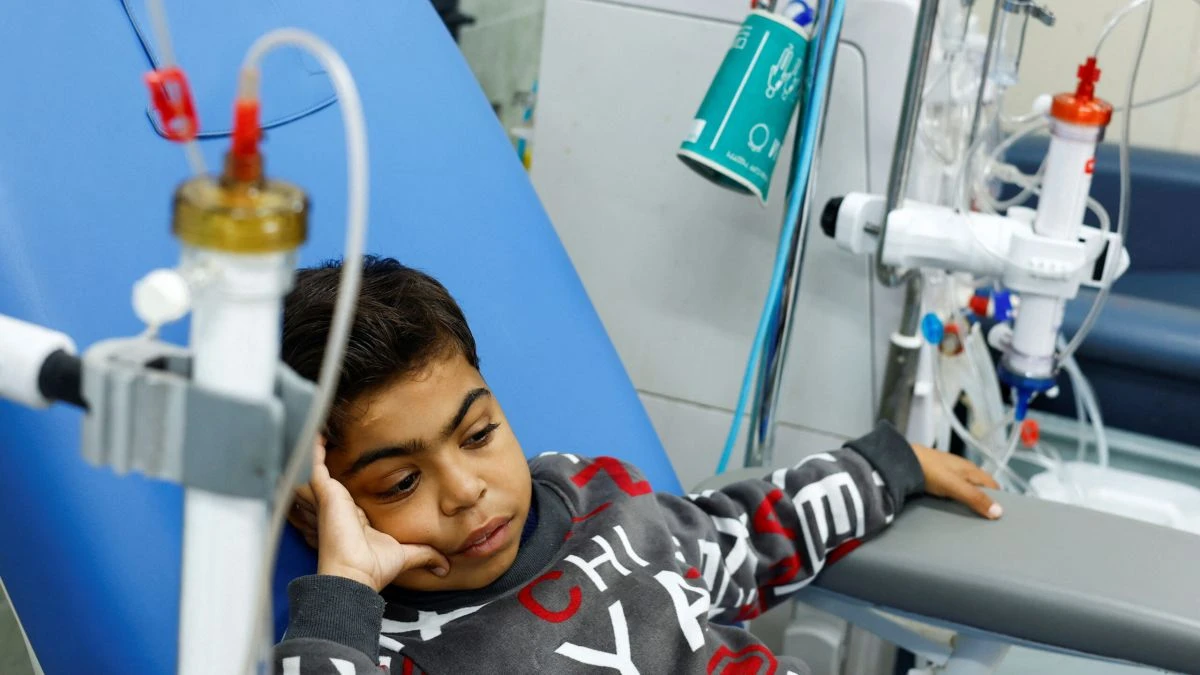 nefropathis-gaza.jpg nefropathis-gaza.jpg