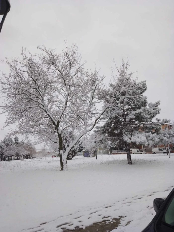 Πτολεμαΐδα - Πηγή: https://kozanimedia.gr/kozanimedia-%cf%85%cf%80%ce%ad%cf%81%ce%bf%cf%87%ce%b5%cf%82-%ce%b5%ce%b9%ce%ba%cf%8c%ce%bd%ce%b5%cf%82-%ce%b1%cf%80%cf%8c-%cf%84%ce%b7%ce%bd-%cf%80%cf%84%ce%bf%ce%bb%ce%b5%ce%bc%ce%b1%ce%90%ce%b4/