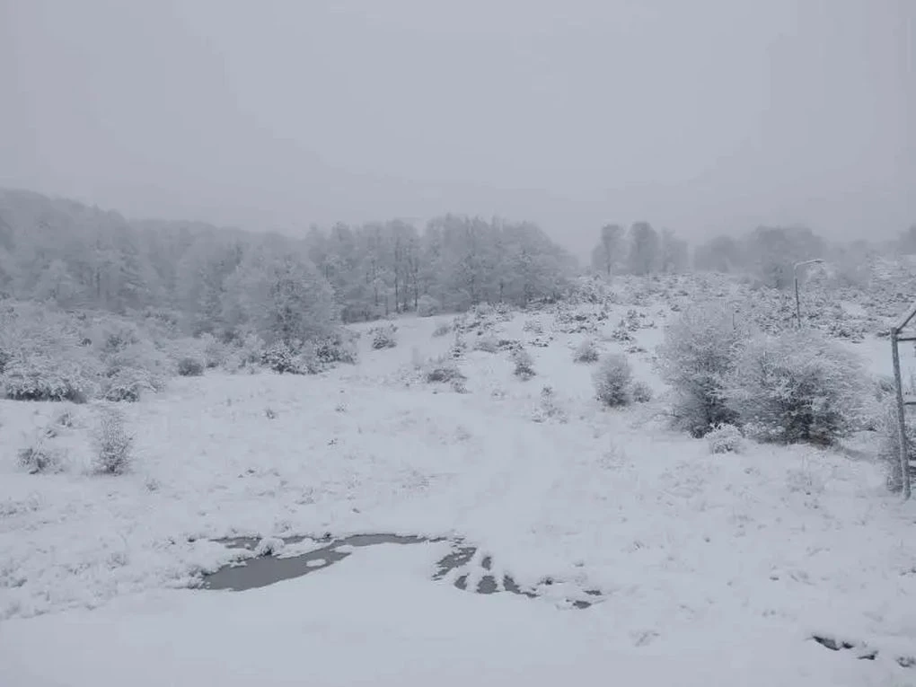 Ζωοδόχος Πηγή - Kozanilife.gr