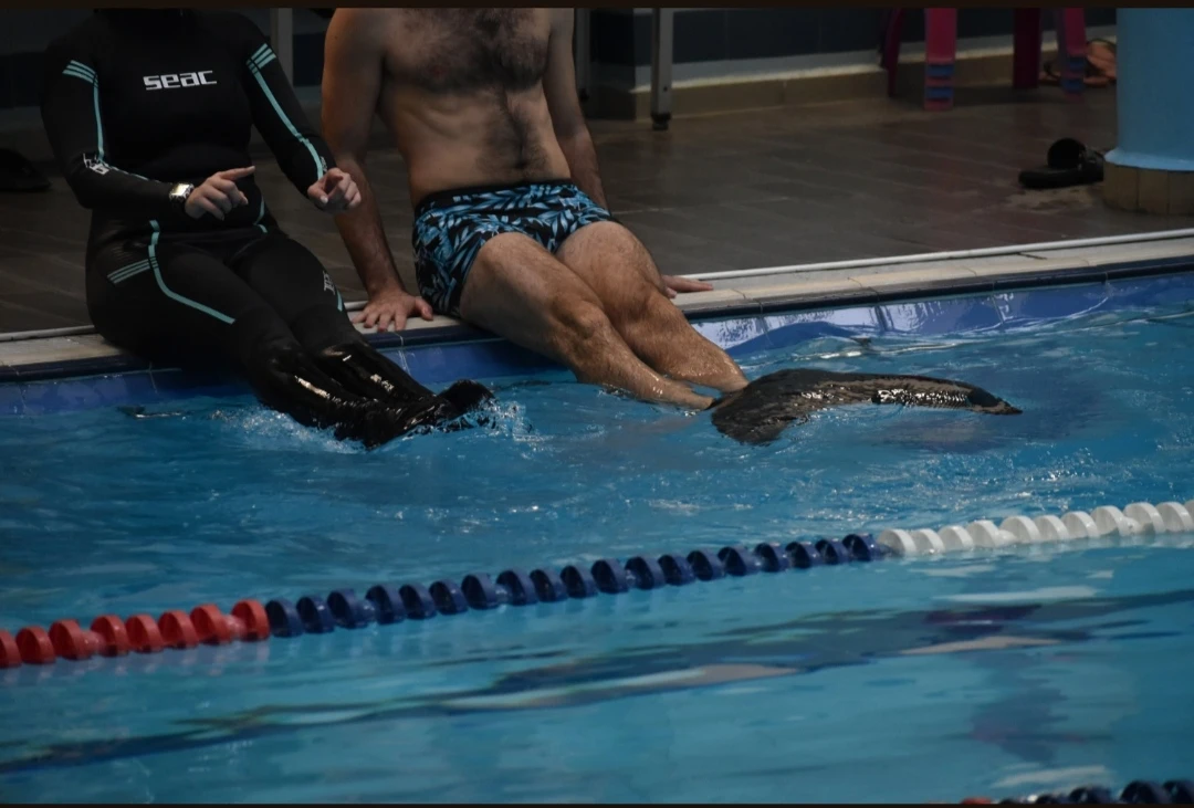 gorgones2.jpg gorgones2.jpg