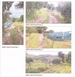oikopeda-knosos.jpg oikopeda-knosos.jpg