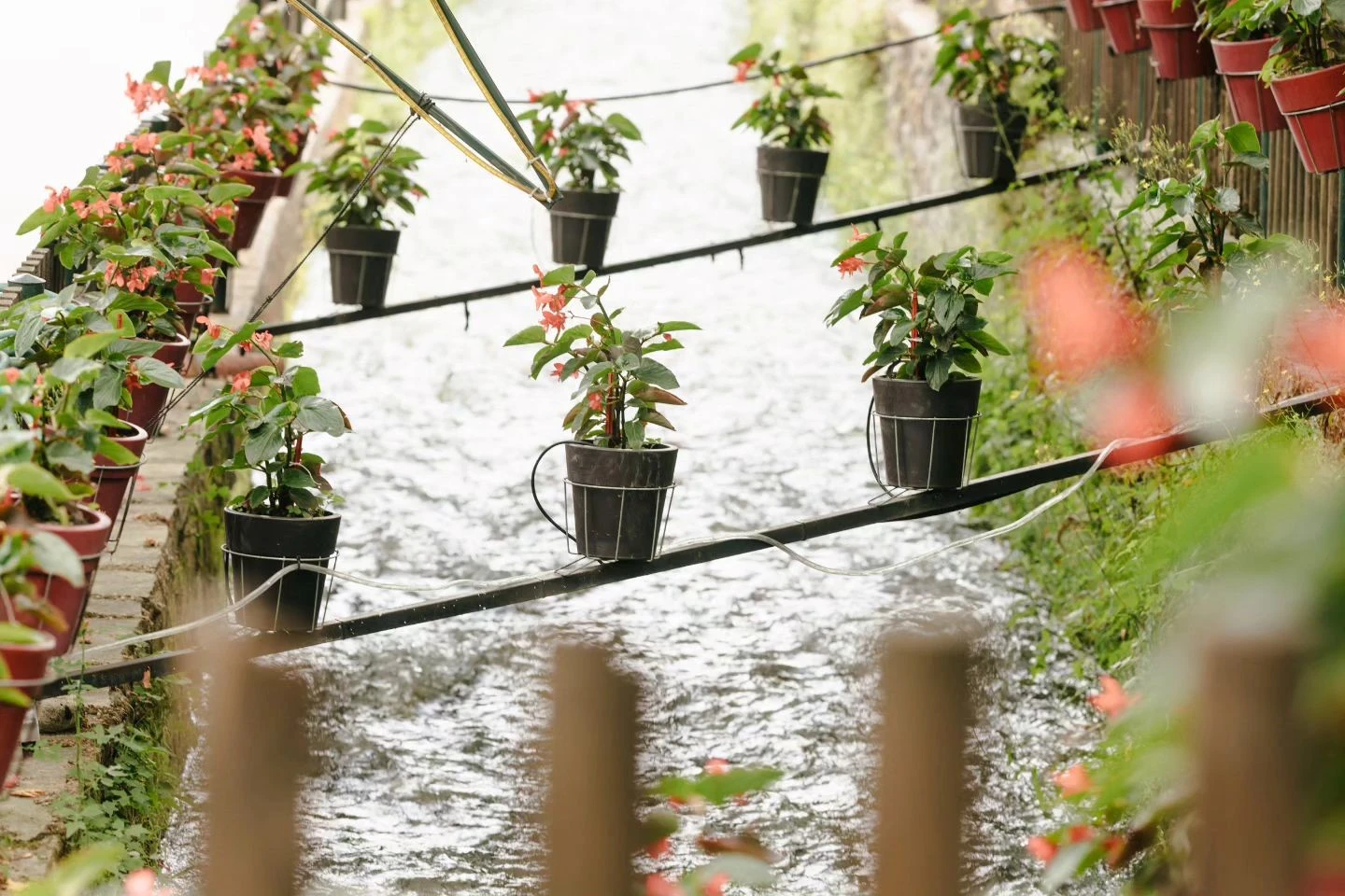 dionisos5.jpg dionisos5.jpg