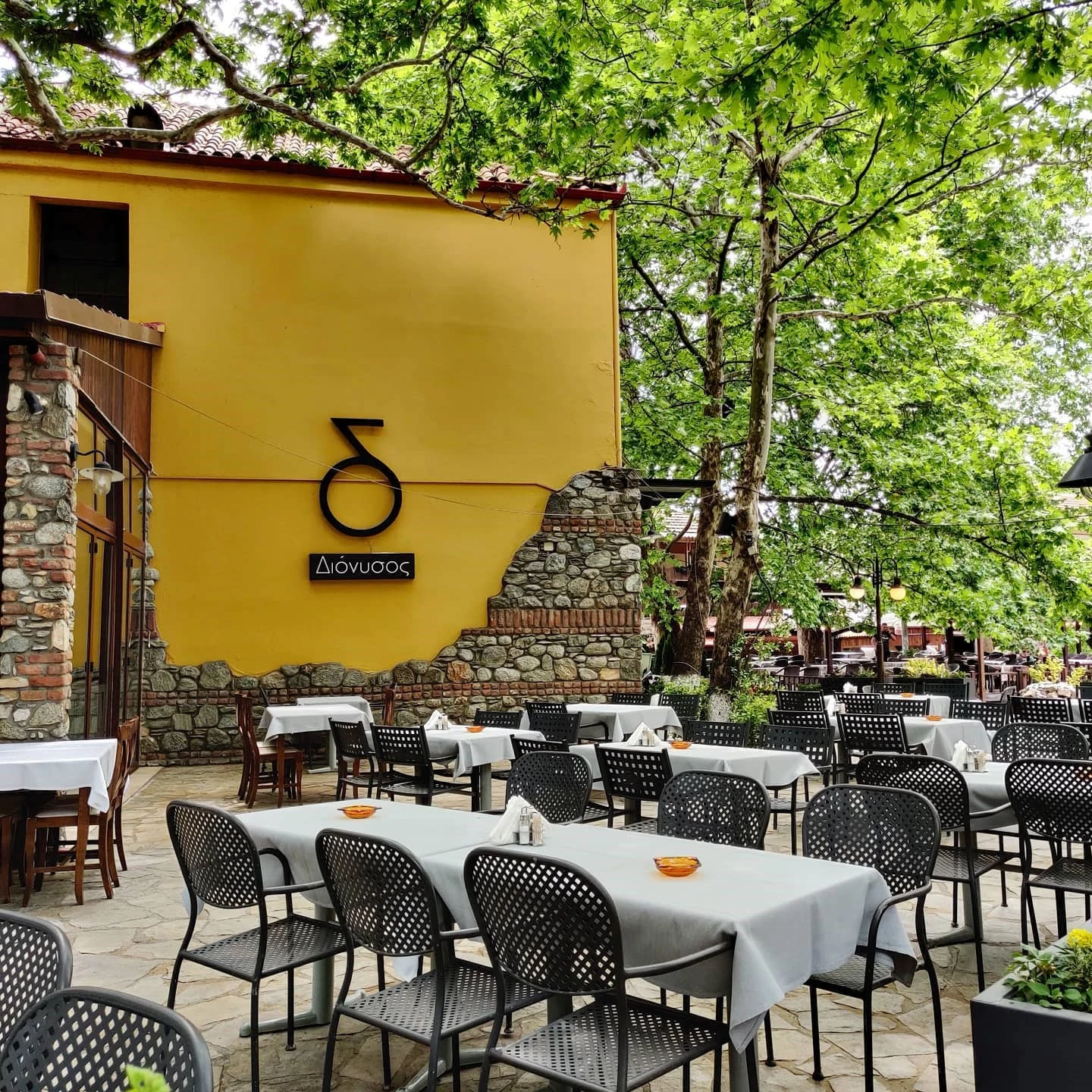 dionisos6.jpg dionisos6.jpg