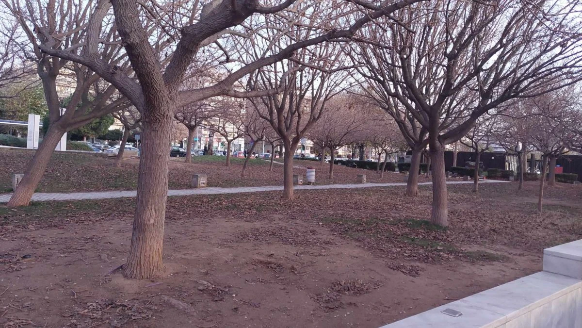 Παρτέρια και κήποι χωρίς ίχνος πρασίνου