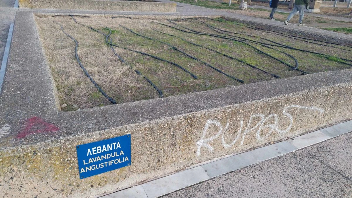 nea-paralia-thessalonikis-kipos-aromatikon-fyton-ianouarios-2024.jpg