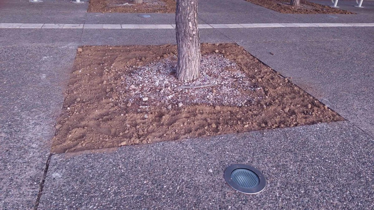 Δενδροδόχος που επιδιορθώθηκε